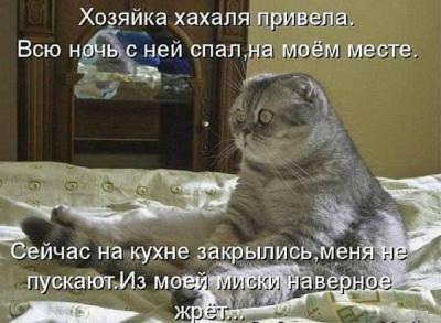 Прикрепленное изображение: 10481826_836639106392746_3551681458685633511_n.jpg